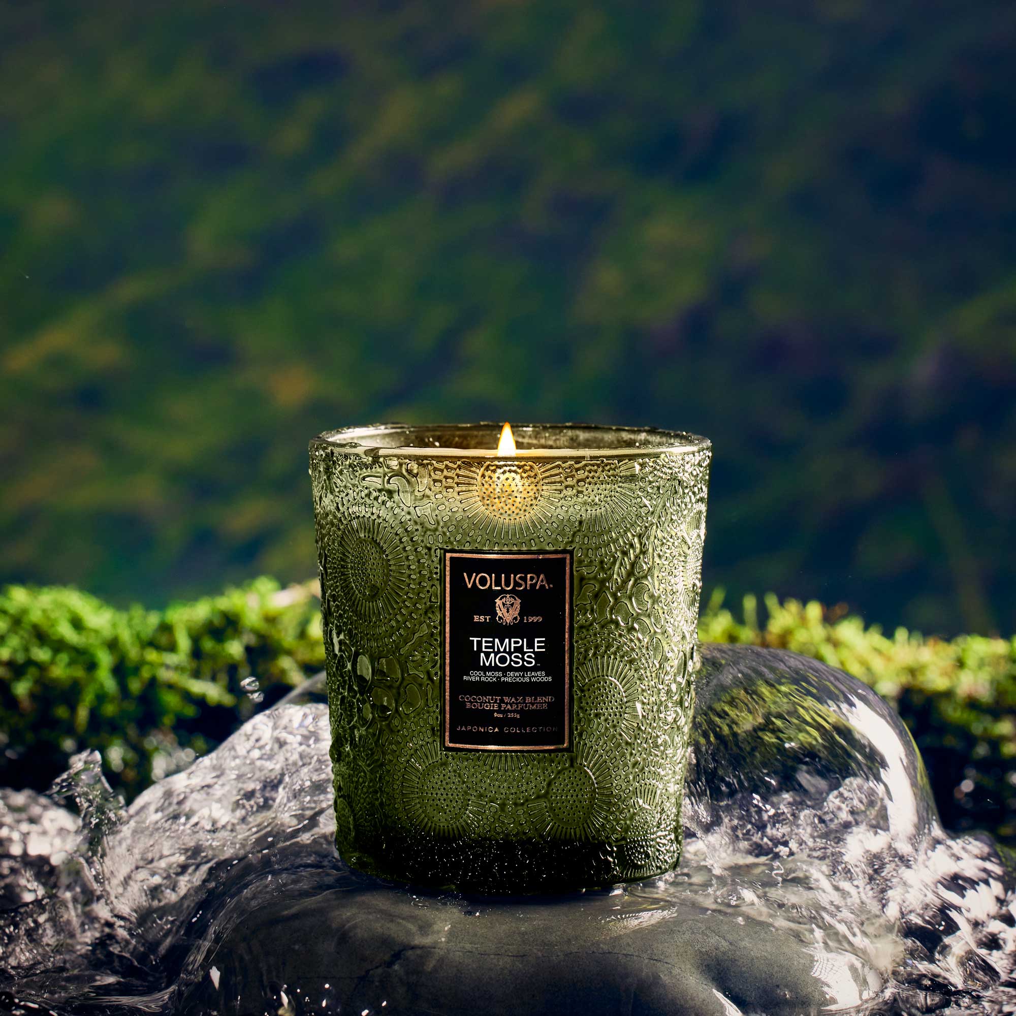 Voluspa - Temple Moss Large Jar Candle