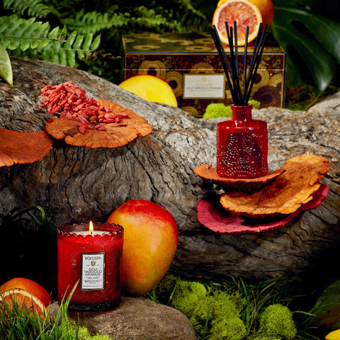 Goji Tarocco Orange - Scalloped Edge Candle & Reed Diffuser Gift Set