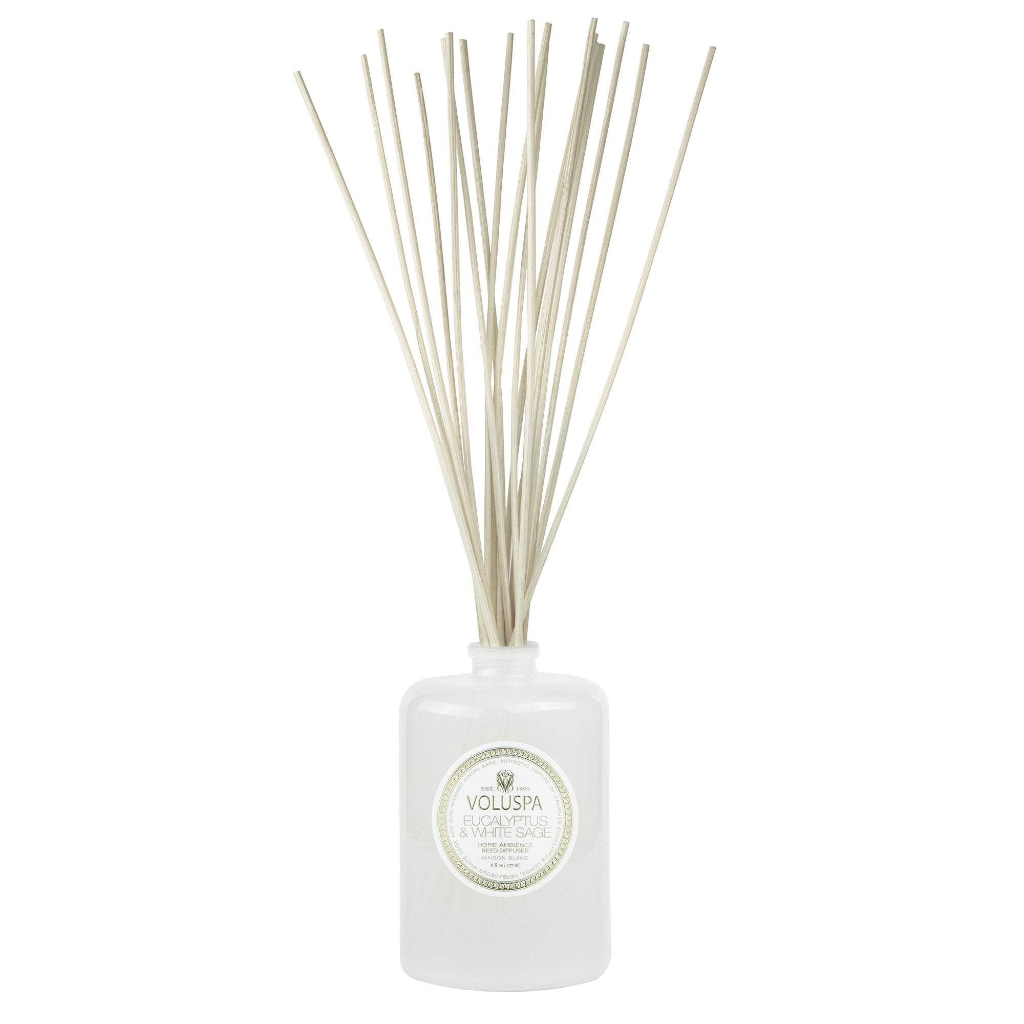 LOVSPA Revive Eucalyptus Reed Diffuser Oil Refill with Replacement Reed Sticks | Eucalyptus Essential Oil, Sage, Bamboo, Citrus and Mint. | 4 Oz| Made