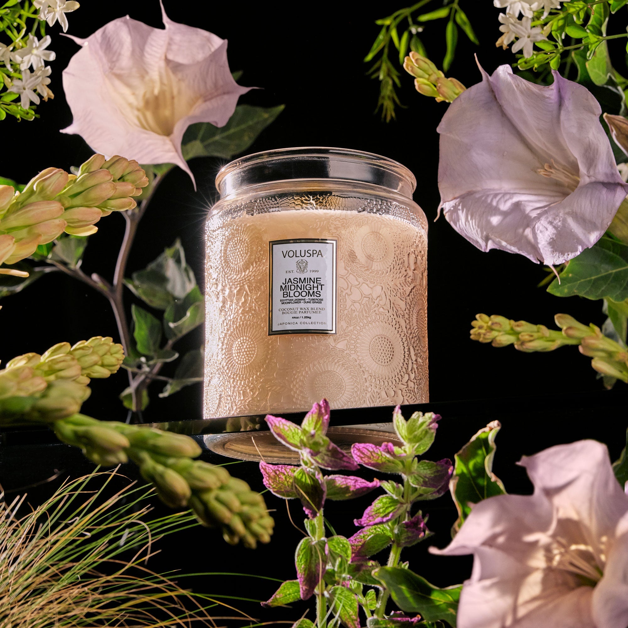 Jasmine Midnight Blooms - Luxe Jar Candle
